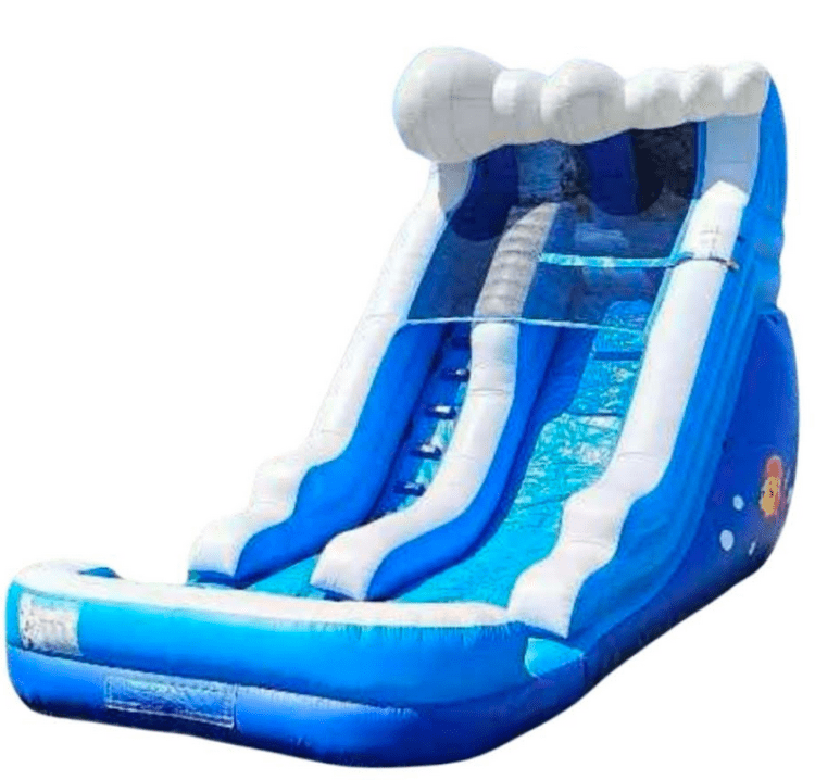 14 FT Blue Fish Waterslide