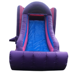 PURPLE1 1740690166 Female Large Combo Wet/Dry
