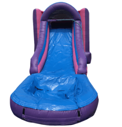 PURPLE420POOL 1740690166 Female Large Combo Wet/Dry