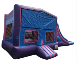 PURPLE620POOL 1740690166 Female Large Combo Wet/Dry